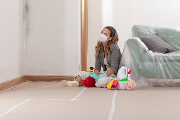 Reliable Mold Remediation contractor in Stafford, TX by WQB Mold Removal